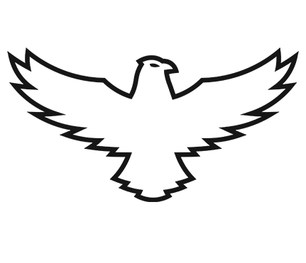 hawk symbol cierny